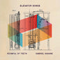 Gabriel Kahane  / Roomful Of Teeth - Elevator Songs LP