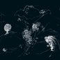 Anenon - Dream Temperature LP (Clear)