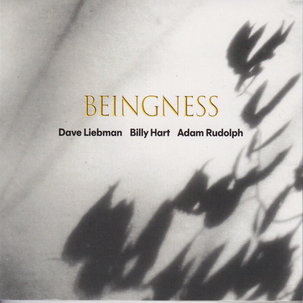 Dave Leibman  / Hart,Billy / Rudolph,Adam - Beingness LP (Colored, Limited Edition, 180 Gram)