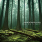 Francisco Foo - Europe After The Rain 12" (Ep)