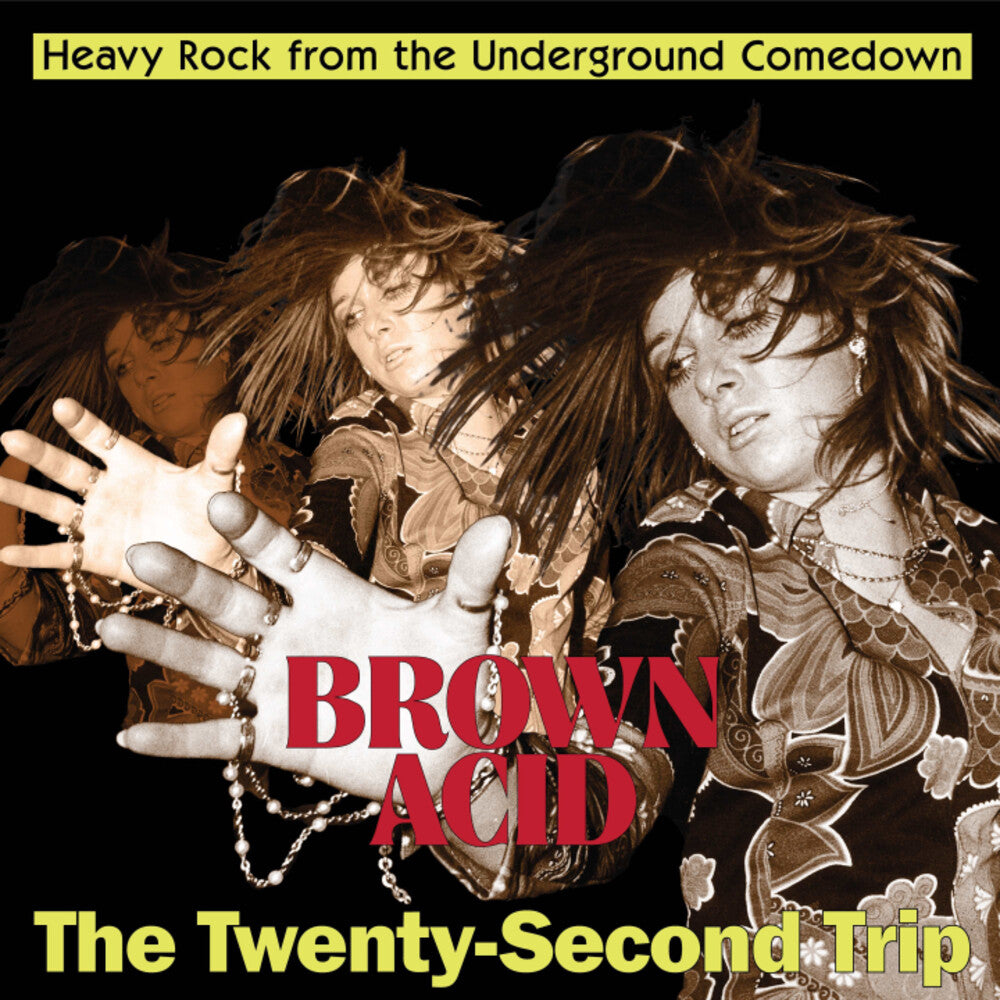 Brown Acid - Twenty-Second Trip / Various - Brown Acid - Twenty-Second Trip / Various LP