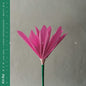 Kiri Ra - Nen CD