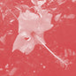 Celer - Poulaine CD