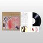 Graham Coxon - Sky Is Too High LP (Reissue) (Preorder: Ships June 19, 2026)