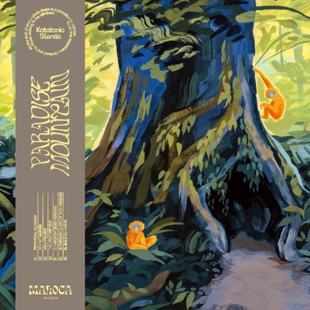 Katatonic Silentio - Paradise Mountain LP