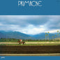 Hiromasa Suzuki - Primrose LP (Jpn) (Preorder: Ships July 31, 2026)