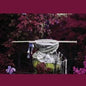 Ava Mendoza - Alive Alone Alive Together CD (Limited Edition)