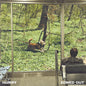 Hurry - Zoned Out LP (Beig, Colored, Grn, Oliv) (Preorder: Ships July 10, 2026)