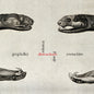Greg Kelley - Distractions for Trumpet & Ajaeng CD (Preorder: Ships June 26, 2026)