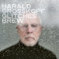 Harald Grosskopf - Glitches Brew LP (Preorder: Ships June 5, 2026)