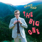 Dent May - Big One LP (Olive Green) (Preorder: Ships August 14, 2026)