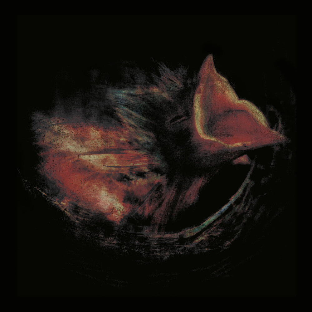 Gurriers - Nobody's Coming To Save You LP (Black) (Preorder: Ships September 25, 2026)