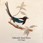 Inflatable Dead Horse - Hello Magpie CD (Preorder: Ships August 14, 2026)