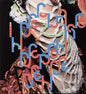 Bjork - Declare Independence 2LP (Box Set, DVD, CD)