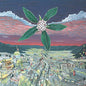 Adrian Orange & Her Band - S/T LP