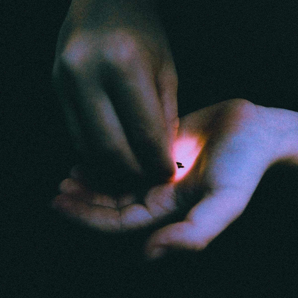 Bambara - Stray LP