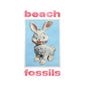 Beach Fossils - Bunny Cassette