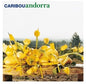 Caribou – Andorra (15th Anniversary, White Vinyl, Gatefold)