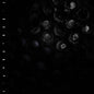 Crumb – Ice Melt LP (Gatefold)