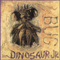 Dinosaur Jr. - Bug LP (Reissue)