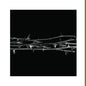 Amenra - De Doorn 2LP