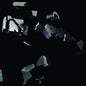 Interpol - S/T CD (Jewel Case)