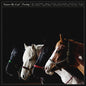 Foxing – Nearer My God 2LP (Colored Vinyl)