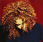 Janet Jackson - The Velvet Rope 2LP (Gatefold)