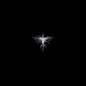 Karen O & Danger Mouse - Lux Prima LP (Gatefold)